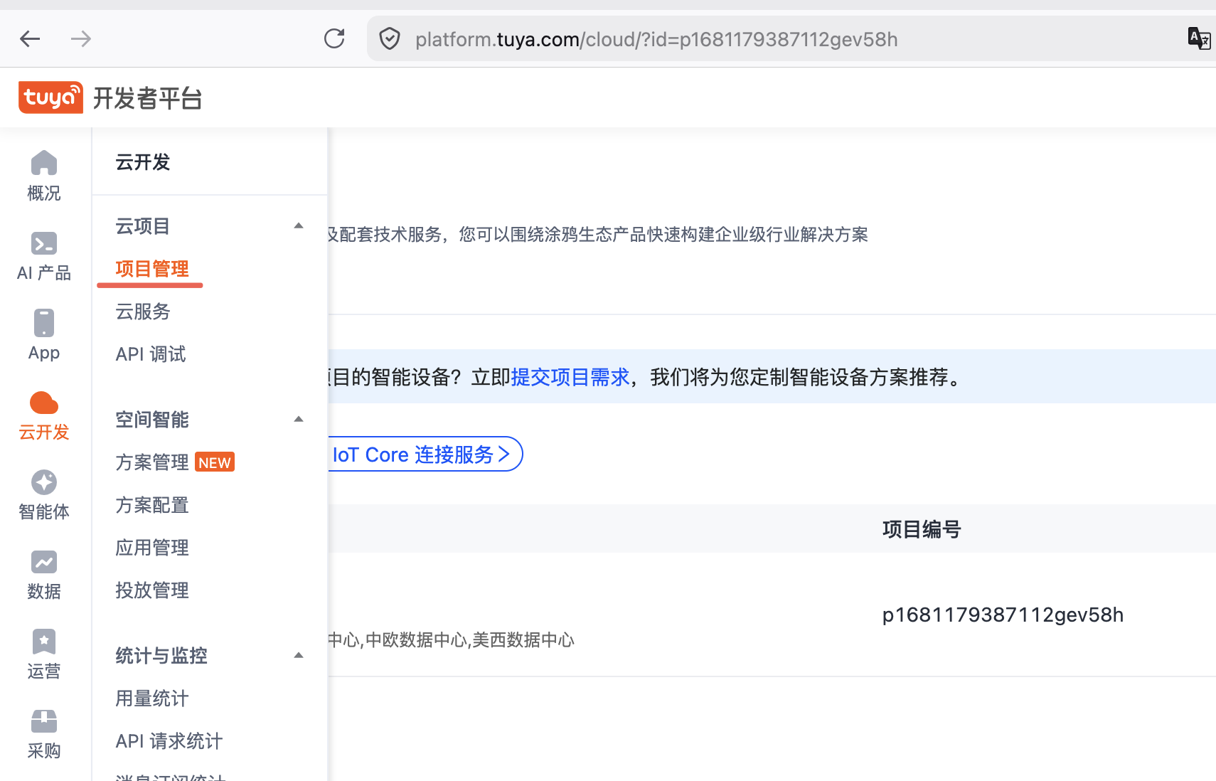 云项目入口